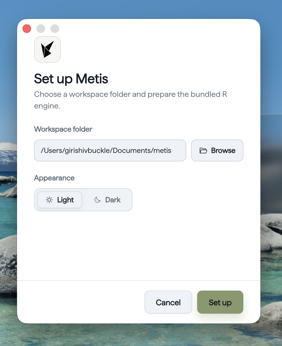 metis macOS setup window for extracting or locating R